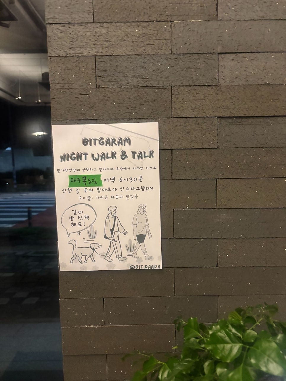 빛다르다 사진 4