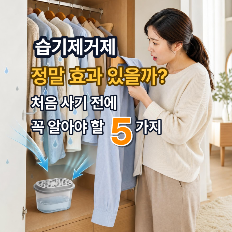 습기제거제 정말 효과 있을까요? 처음 사기 전에 꼭 알아야 할 5가지