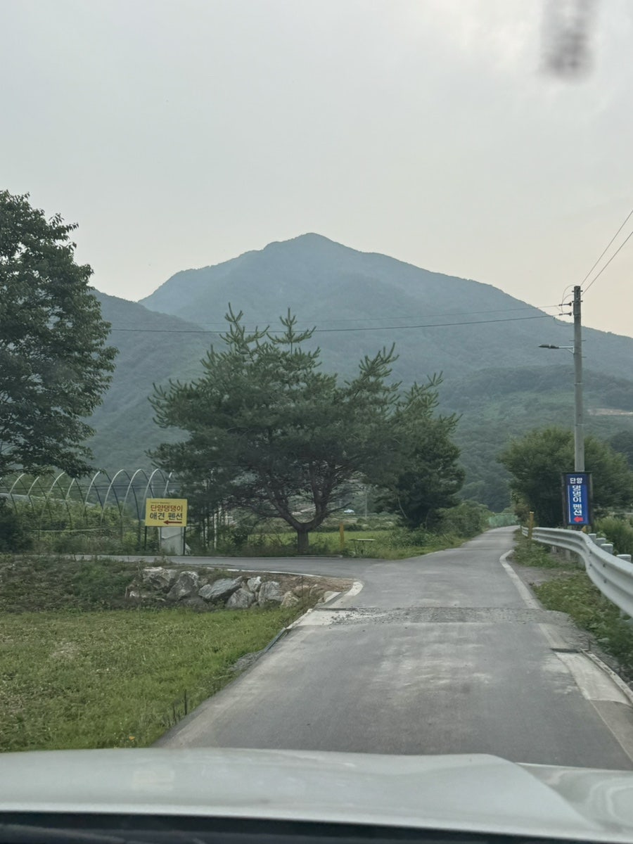 단양 댕댕이애견펜션 사진 2