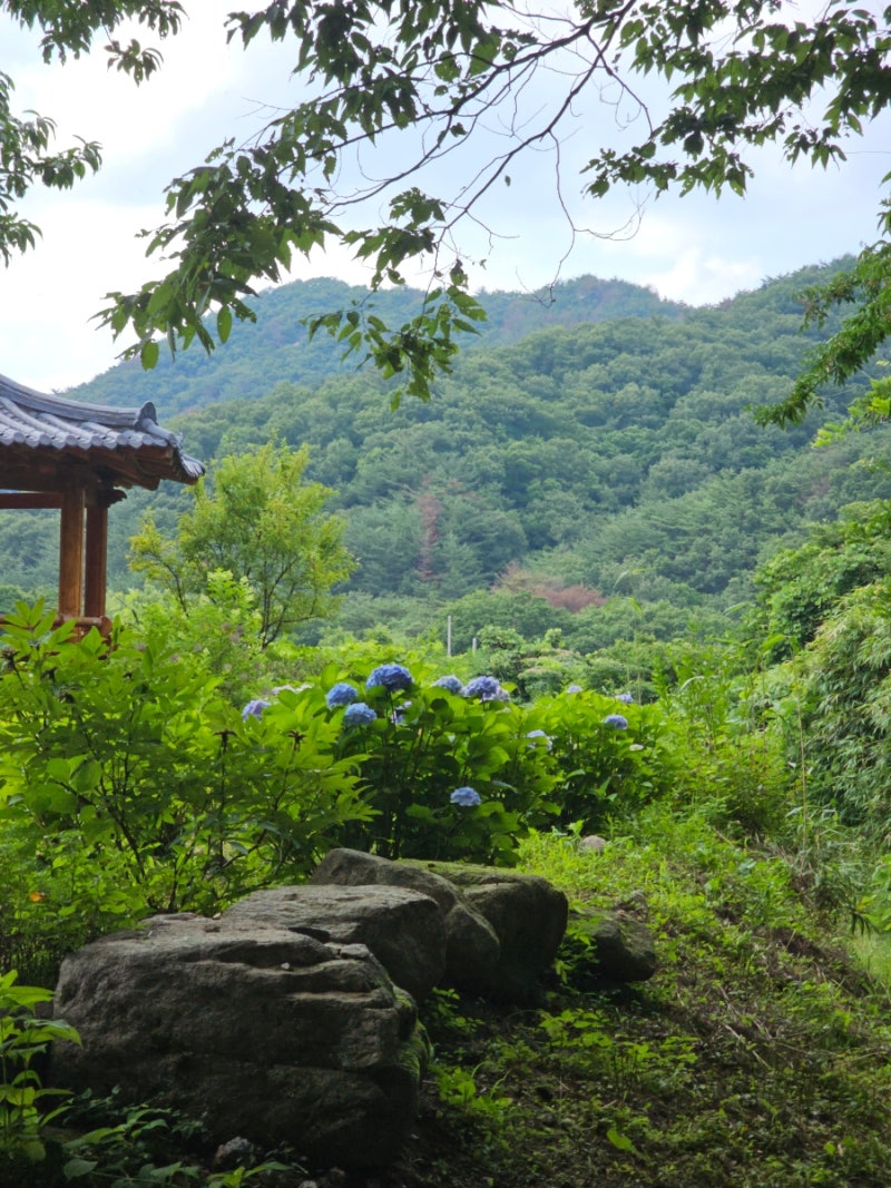 기림사 템플스테이(휴식형) 홀로 1박2일: 기계음 대신 자연의 소리를, 경주에서 가장 평온한 ....