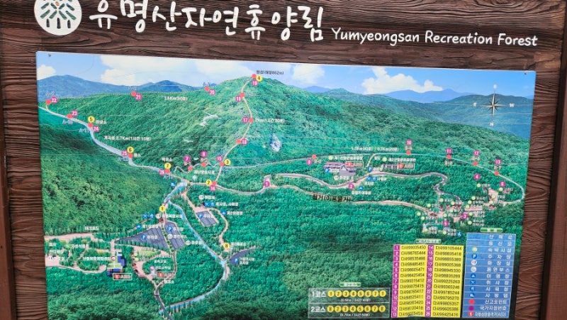 [가평] 유명산 자연휴양림