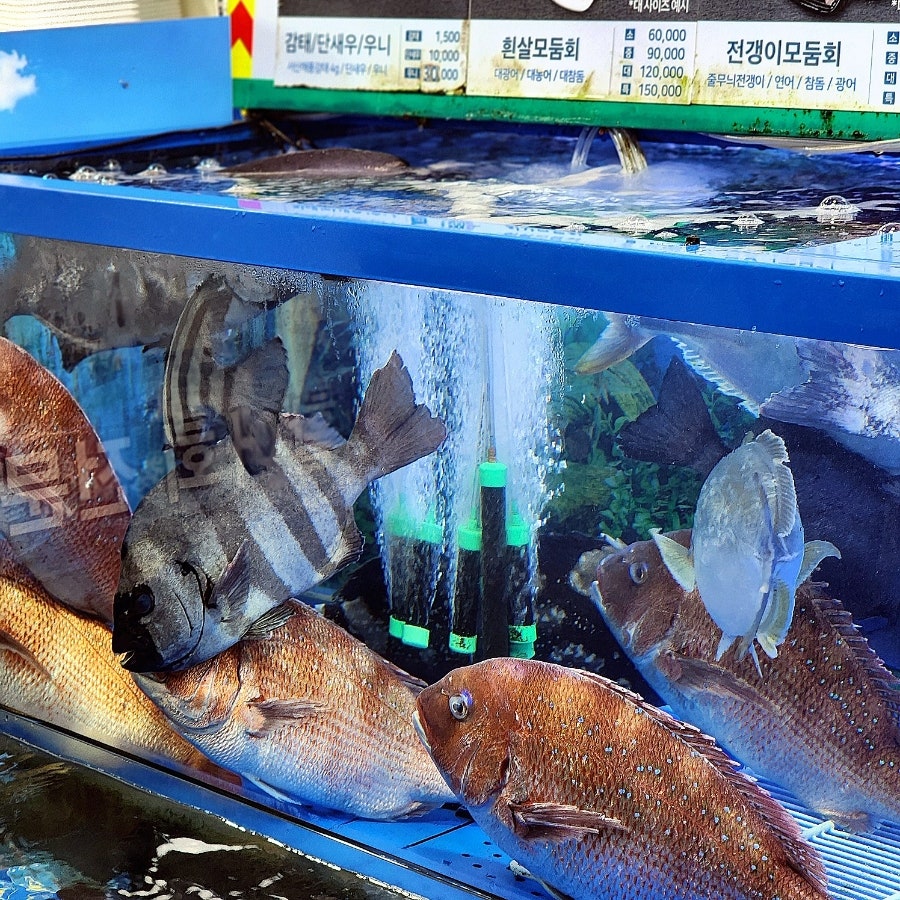 신남도수산 사진 5