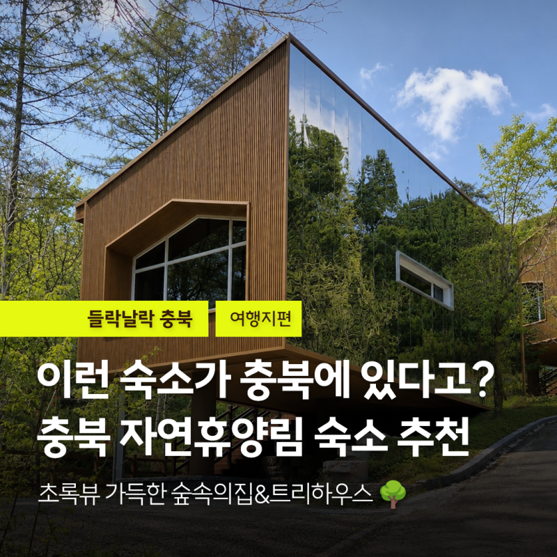 충북 트리하우스 숙소 추천 | 숲속에서 하룻밤 보내기 좋은 자연휴양림