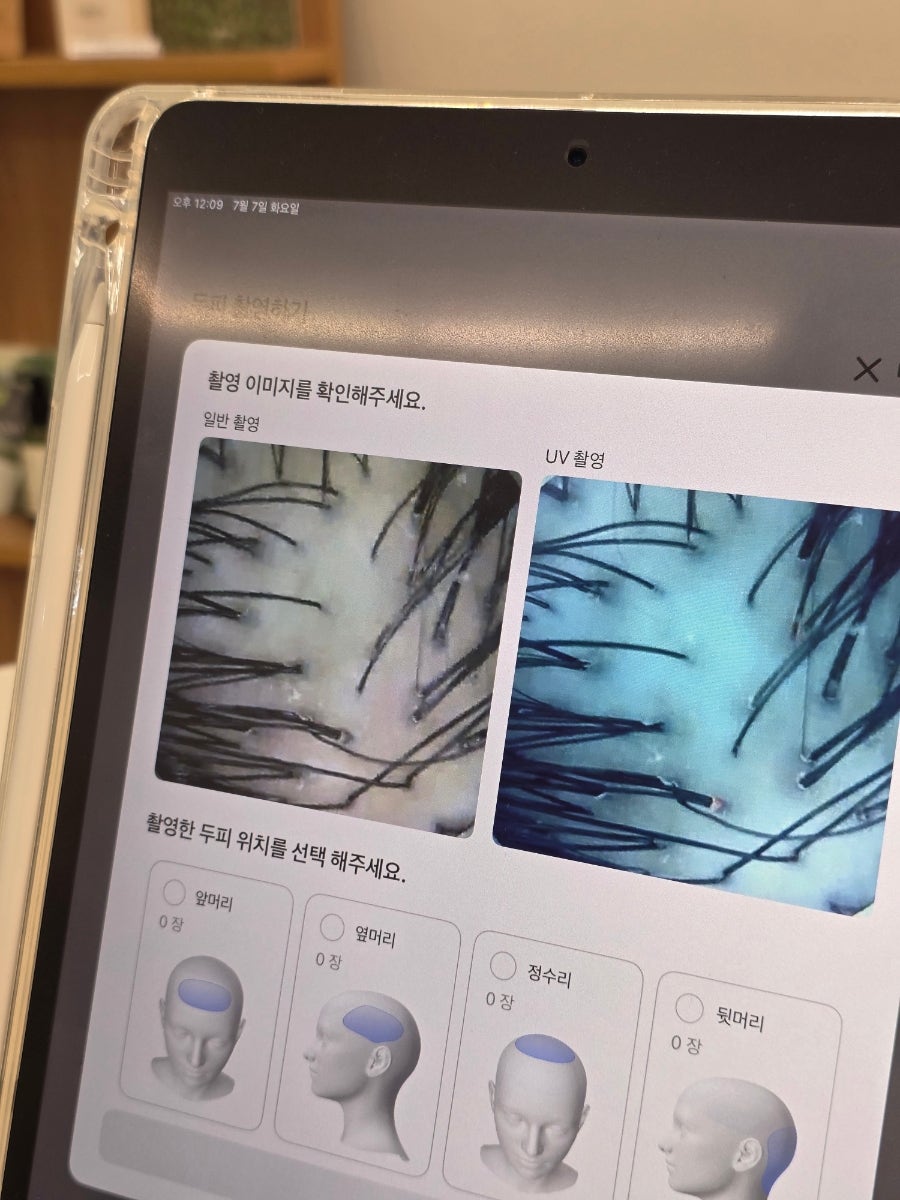 온정 사진 3