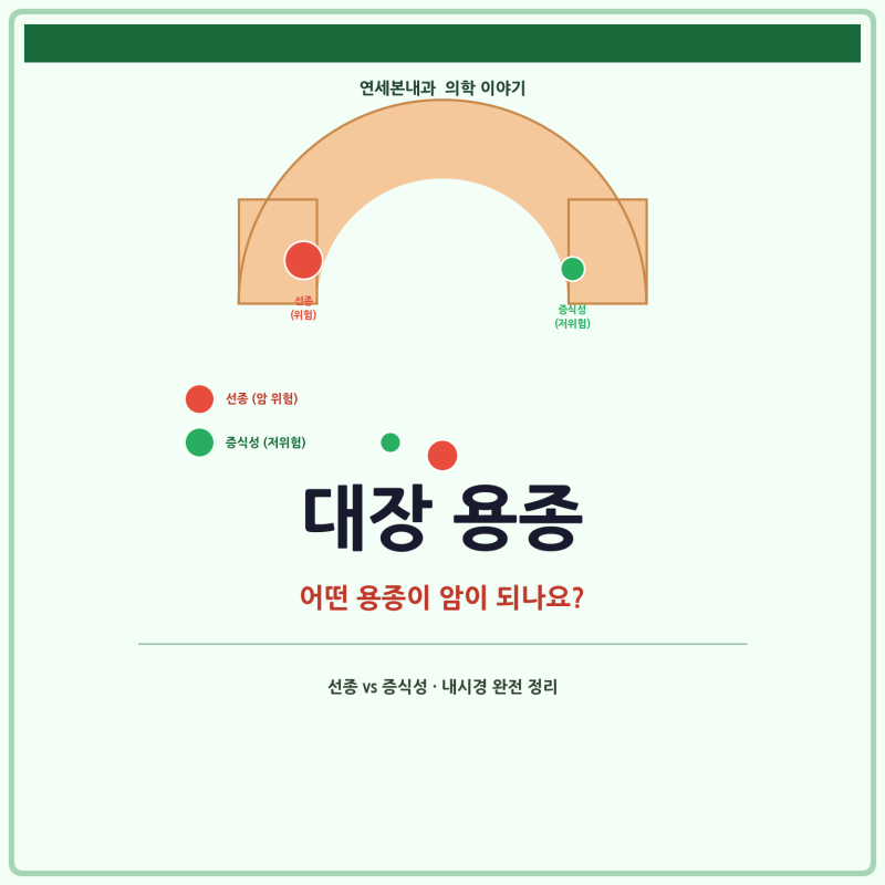 [동탄2대장내시경] 대장 용종과 대장암 — 어떤 용종이 암으로 변하나?