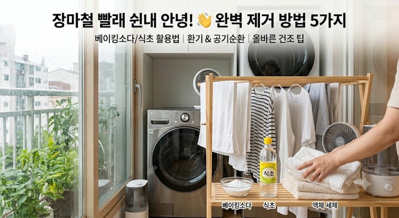 장마철 빨래 쉰내 제거 방법, 빨래 건조 팁ㅣ식초와 구연산 차이