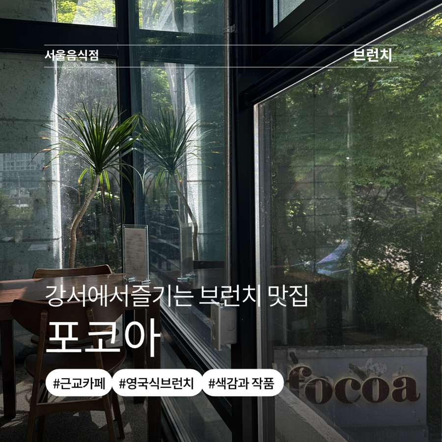 포코아 사진 1