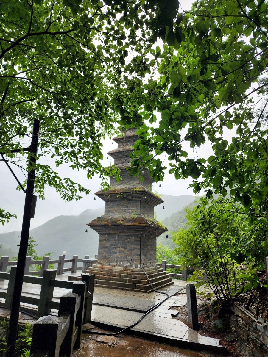 궁 사진 3