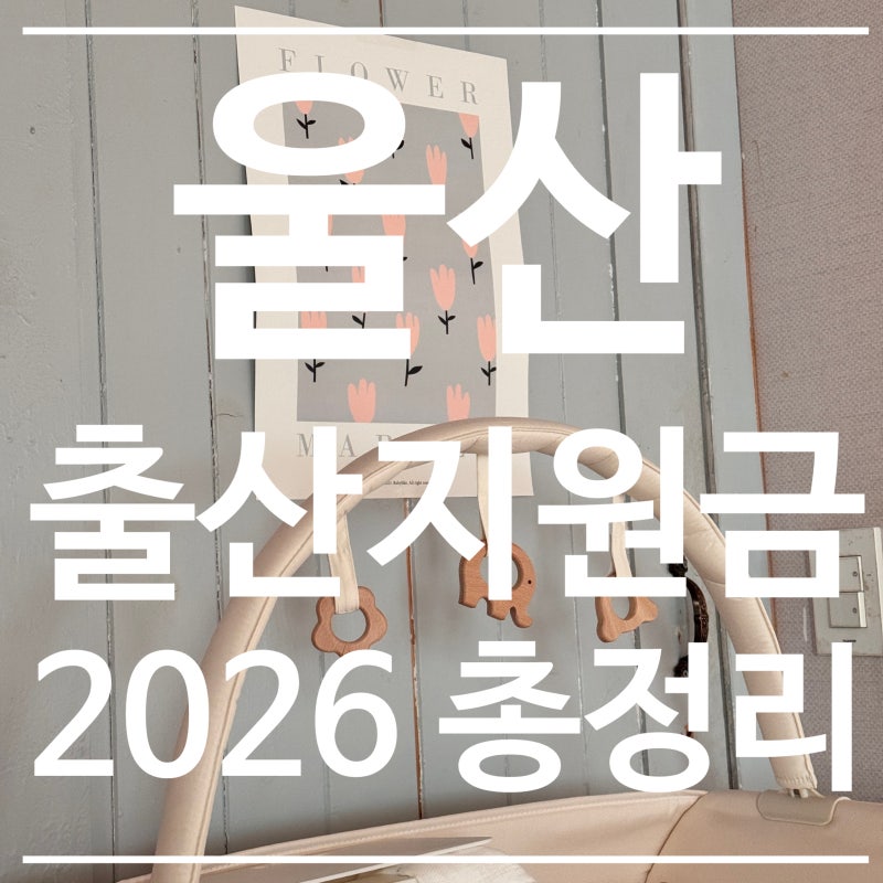 2026년 울산 출산지원금, 정부지원사업부터 시·구군 지원까지 총정리