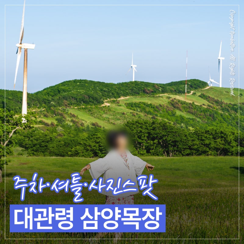 대관령 가볼만한곳 삼양목장 후기｜주차·입장료·셔틀버스·사진스팟 정리