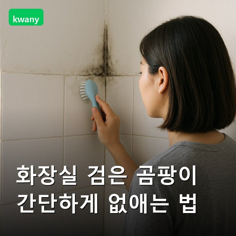 화장실 검은 곰팡이 간단하게 없애는 법 | 실리콘 타일 벽면 2026 완벽 가이드