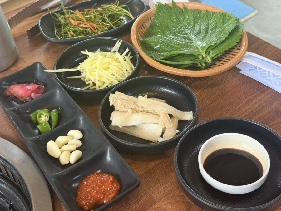황제장어 사진 6