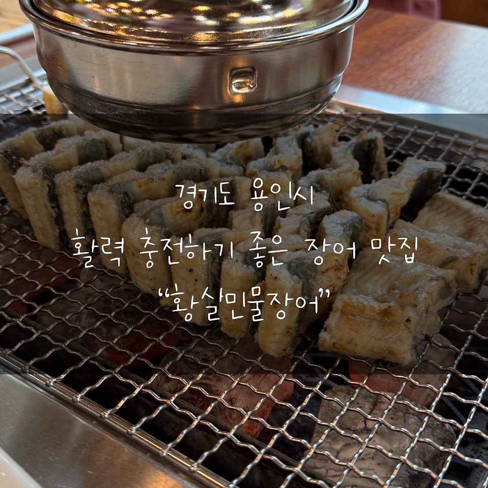 황실민물장어 사진 1
