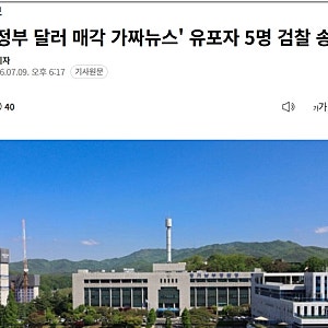 "정부 달러 매각설 가짜뉴스 유포자 5명 검찰 송치... 단순 공유도 처벌 대상"