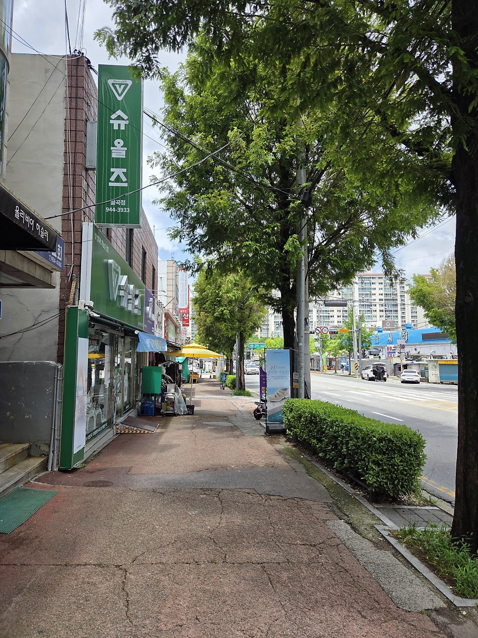 째오안딤 사진 2