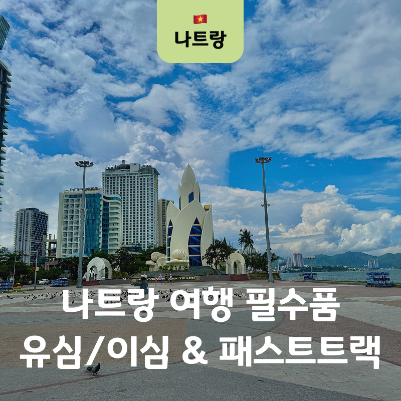 베트남 나트랑 여행 준비물 유심 이심 할인 패스트트랙 당일구매 여부
