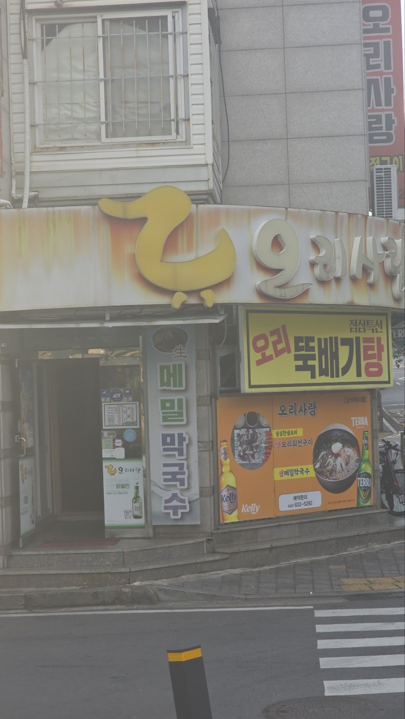 오리사랑 사진 2