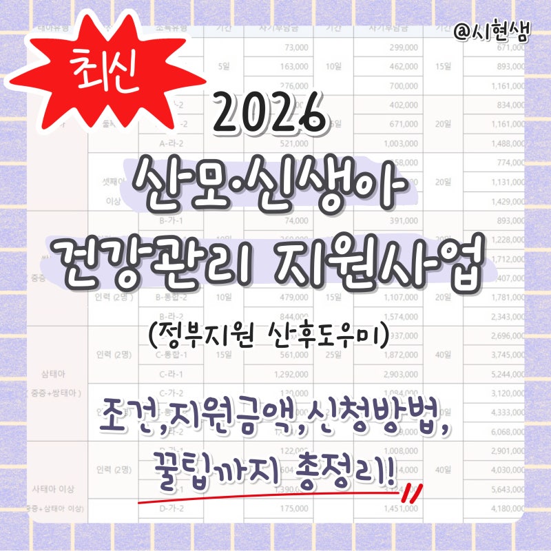 [2026 최신]산모·신생아 건강관리 지원사업(정부지원 산후도우미) 조건, 가격, 신청 꿀팁까지 ....