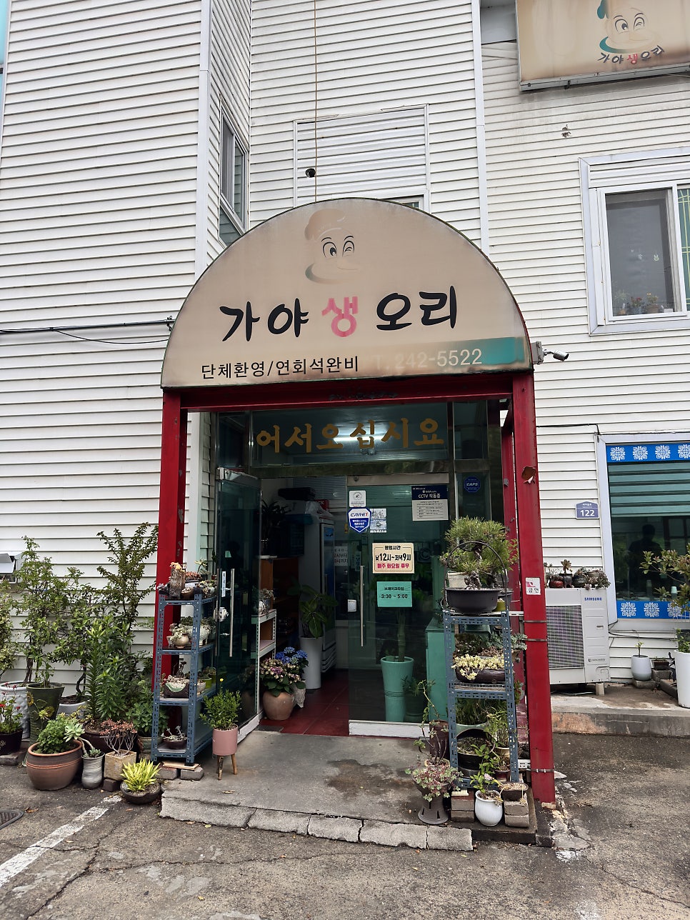 가야생오리 사진 3
