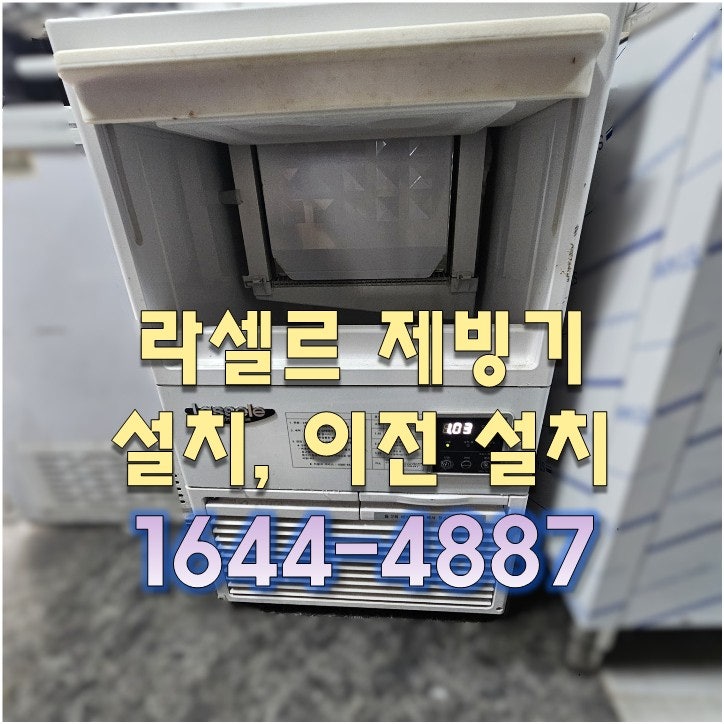 다온 사진 1