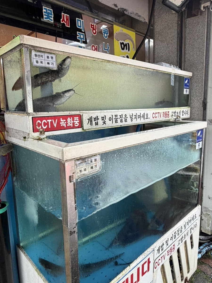 강마을민물매운탕 사진 4