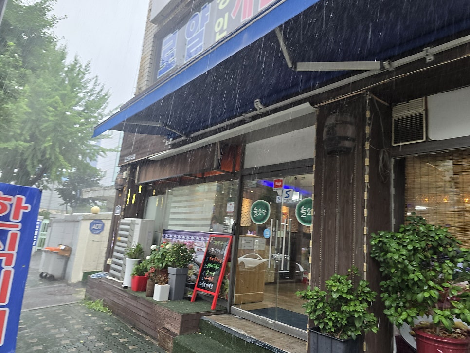 늘소담 사진 1