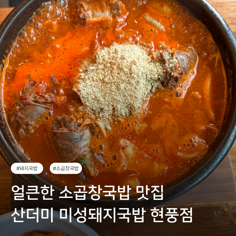 산더미미성돼지국밥 현풍점 사진 1