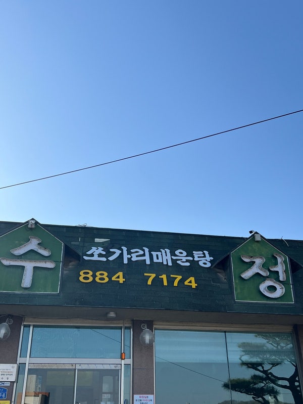 산수정 사진 1