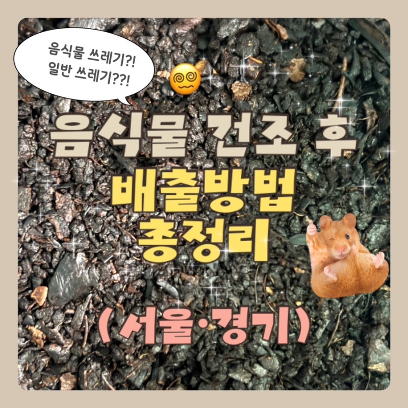 음식물처리기 건조 후 버리는 법, 수도권 지역별 일반쓰레기 기준 총정리 A-Z