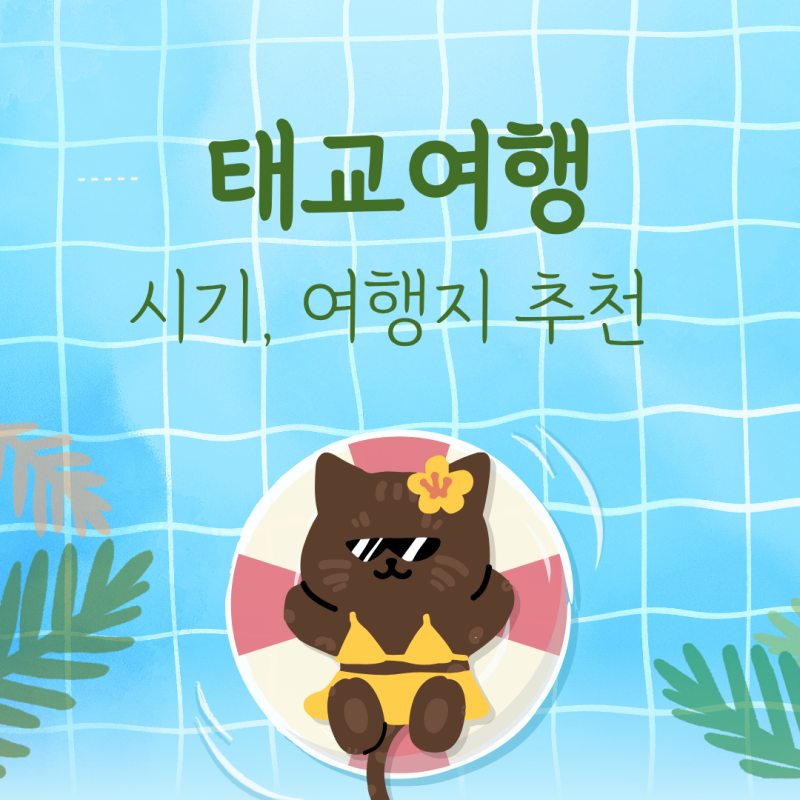 태교 여행 시기 및 인기 해외 여행지 추천