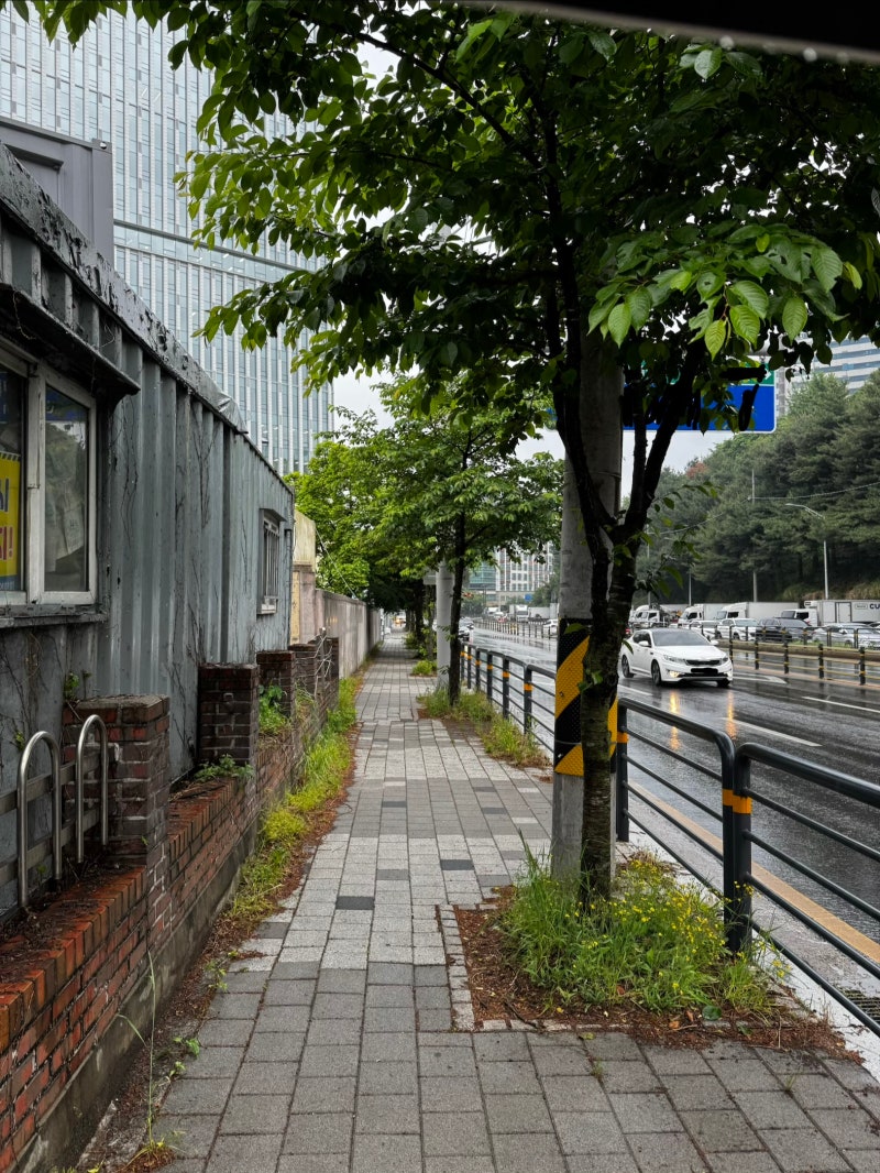 셀프 베이크아웃 방법 효과 있었을까? 직접 해본 후기와 보완점