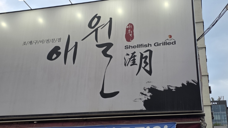 애월 사진 3