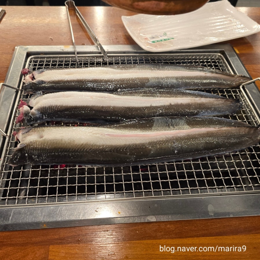 장어세상 사진 5