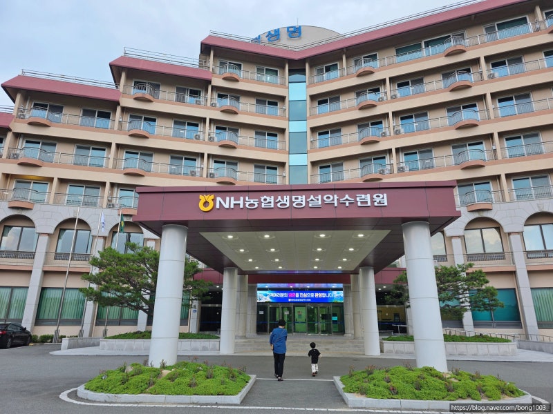 강원도 속초 NH농협생명 설악수련원, 가족여행 가성비 4인실 숙소 추천