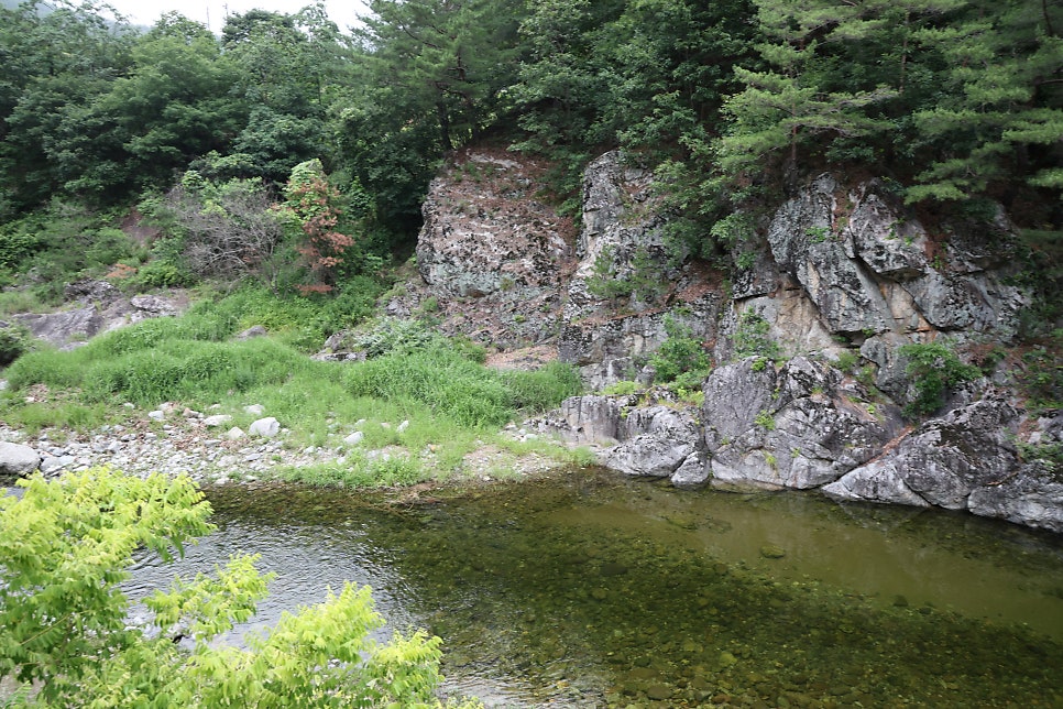 동활계곡 사진 6