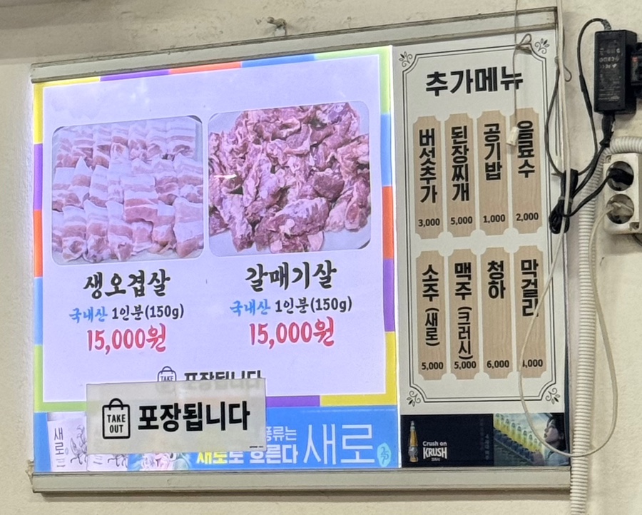 부산갈매기 사진 4