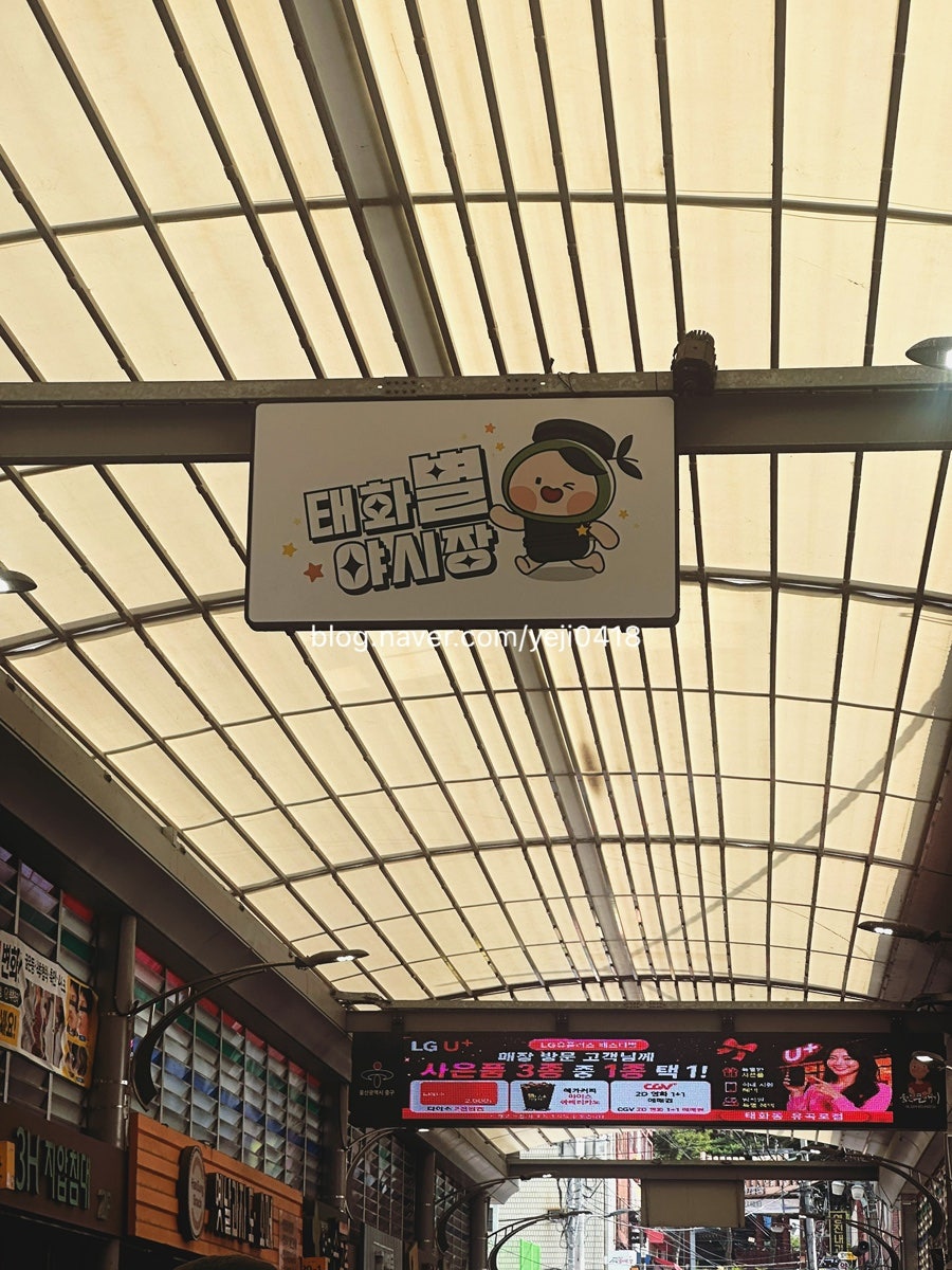 태화장터칼국수 사진 2