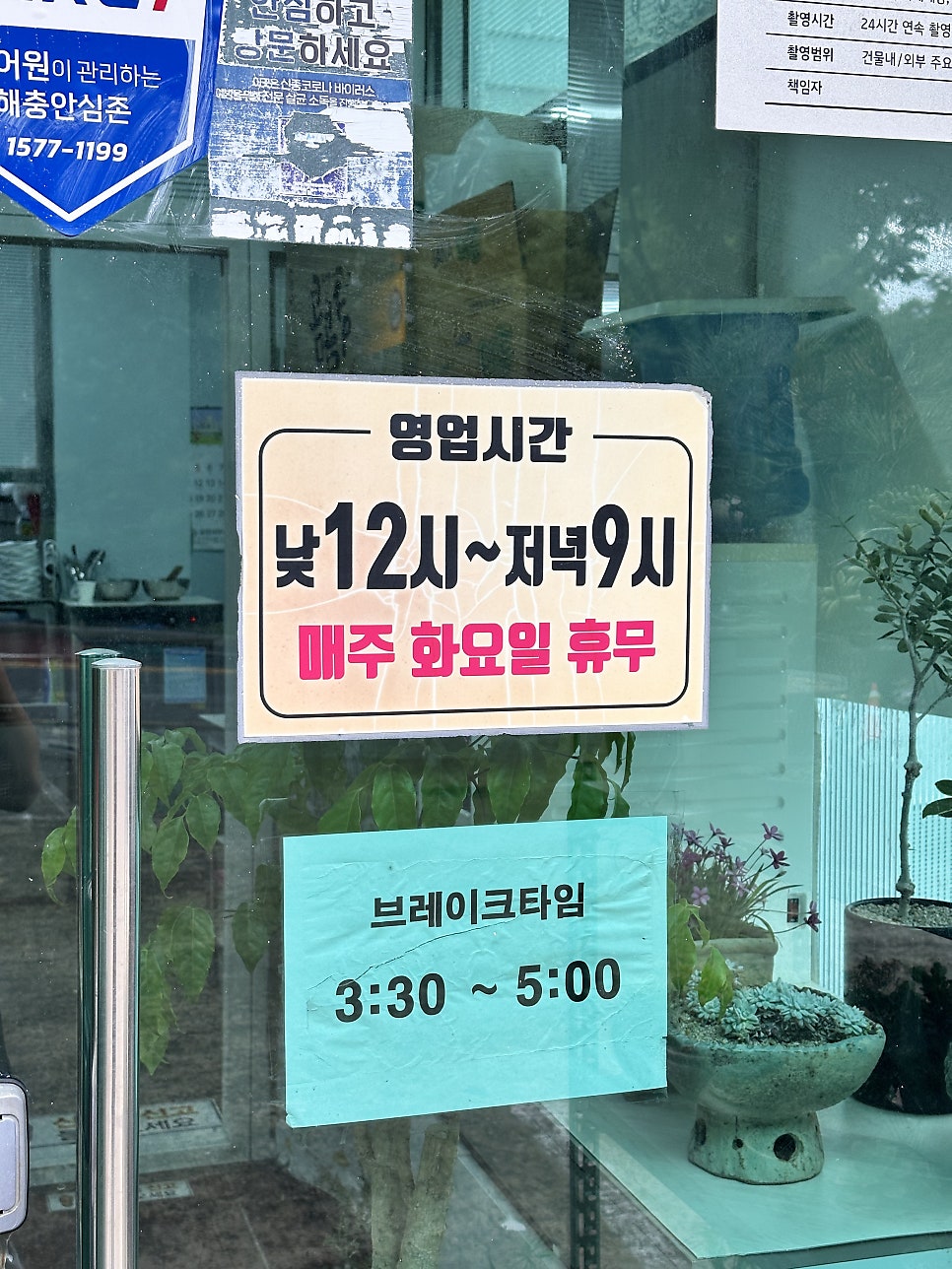 가야생오리 사진 1