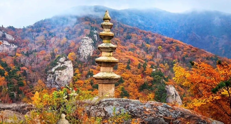 설악산 봉정암 등산코스 총정리/ 불자들의 성지술례길