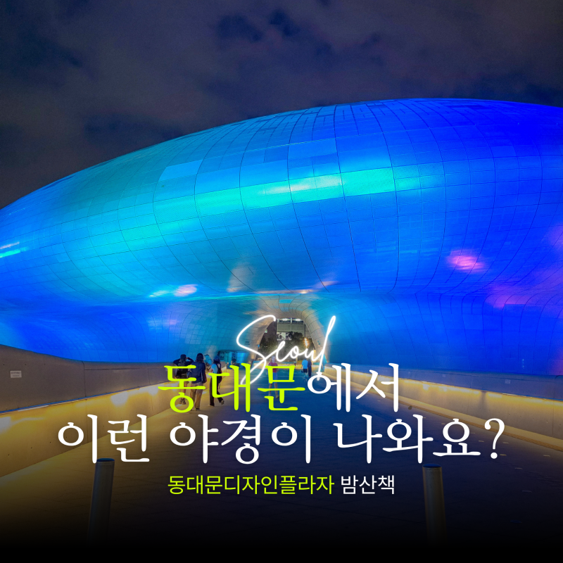 서울 동대문 ddp 야경, 짧은 밤산책