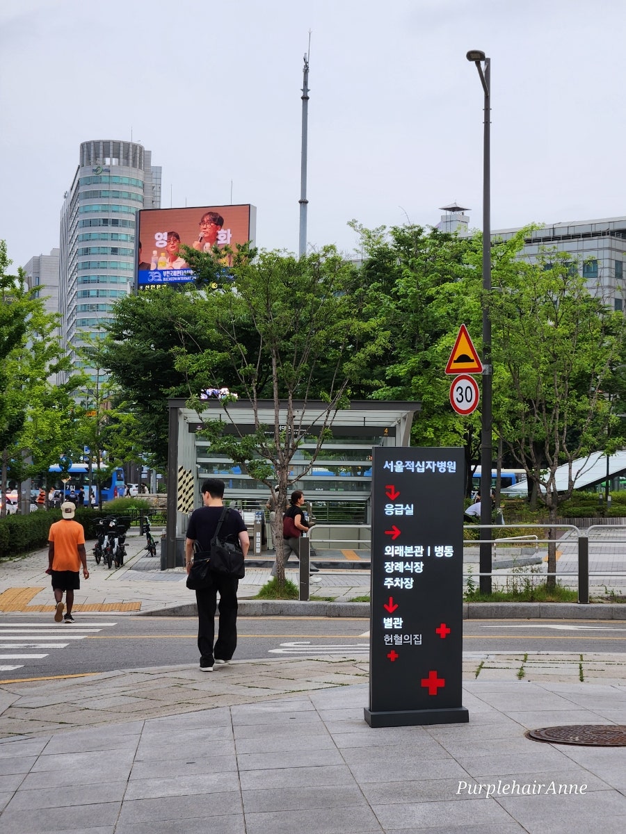 봉평옹심이막국수 사진 4