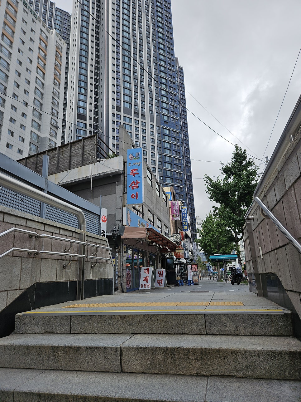 우서방쭈삼이 사진 2