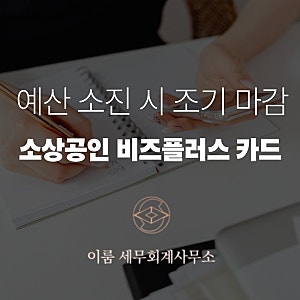 소상공인 비즈플러스카드 발급 신청방법 및 혜택 총정리