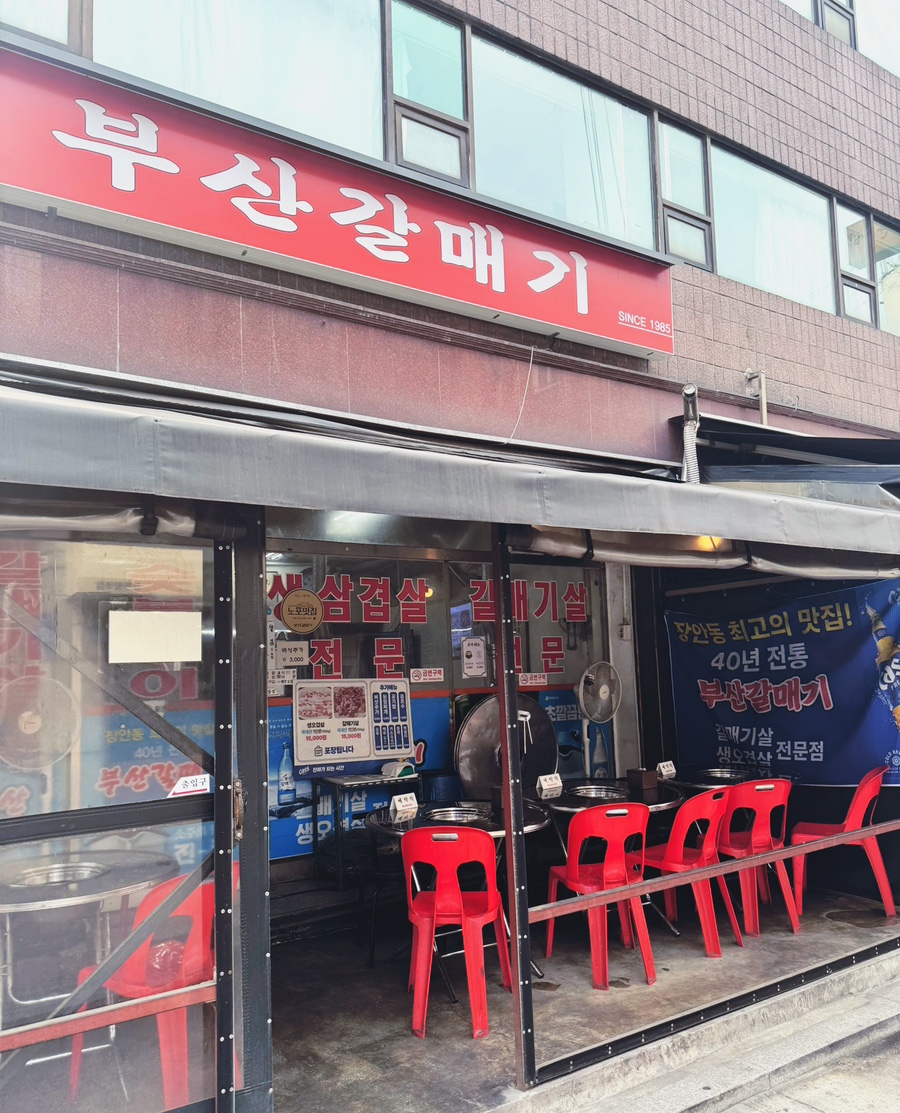 부산갈매기 사진 1