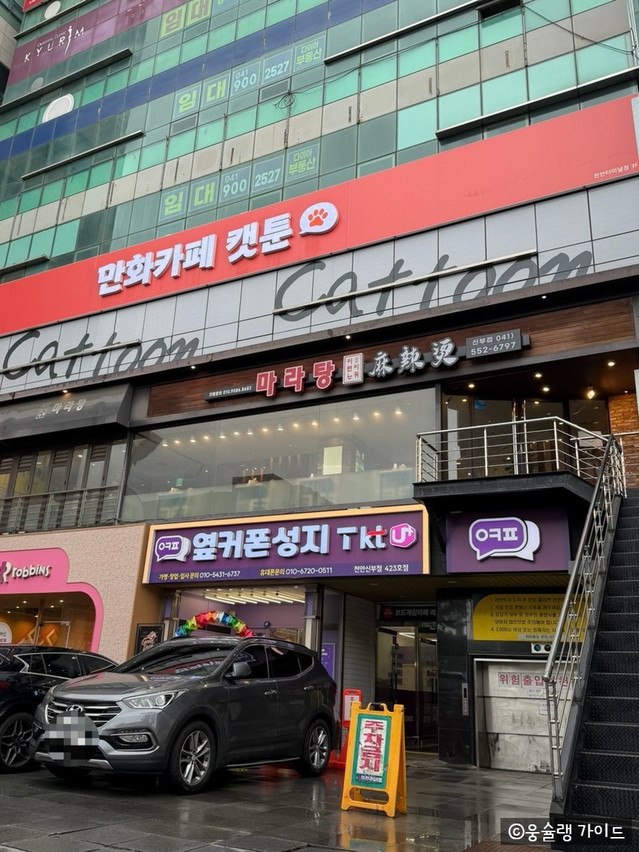 이런이궈 사진 5