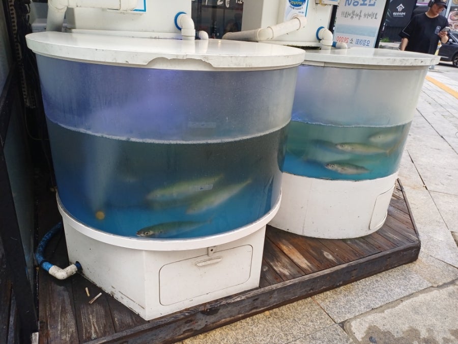 광명수산 수원역점 사진 1