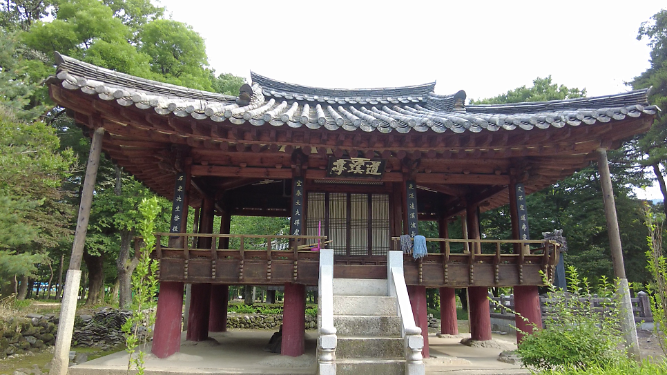 갈계숲 사진 5