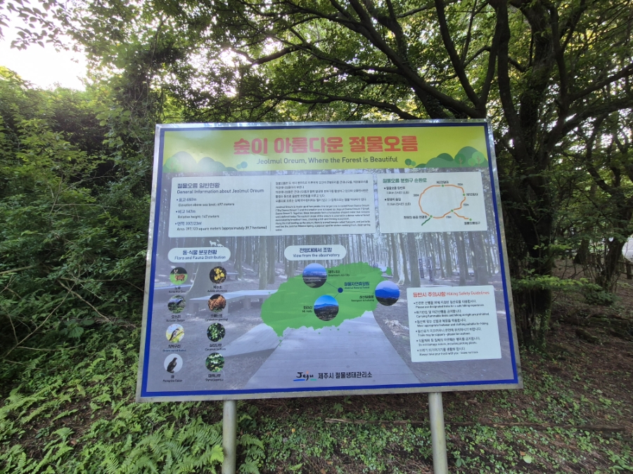 사방팔방 사진 4