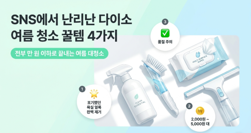 SNS에서 난리난 다이소 여름 청소 꿀템 4가지 — 전부 만 원 이하입니다