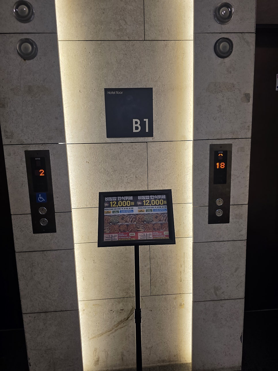 비바빔 사진 5